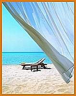 The beach at 5 minutes flower